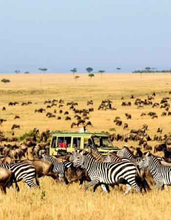 Beyond Encounters Tours and Safaris