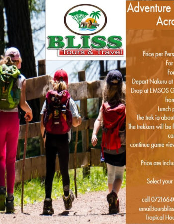 Bliss Tours and Travel Agencies Kenya