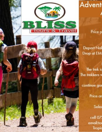 Bliss Tours and Travels Agencies