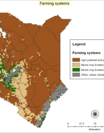 Farming Systems Kenya