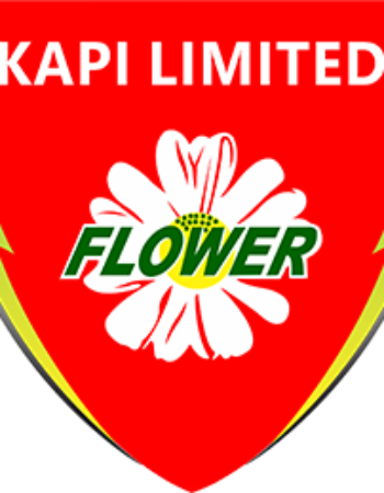 KAPI LIMITED