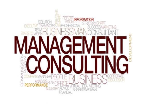 Larry Insurance & Management Consultants