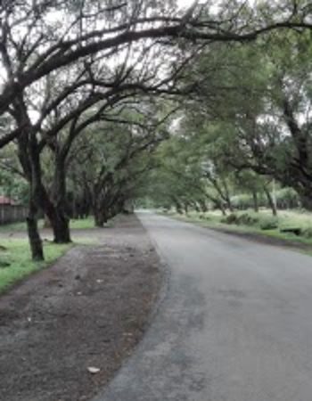 Nakuru War Memorial Hospital