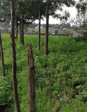 Prime Nakuru 1/4 acres for sale