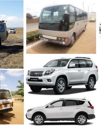 Safari And Travel Agency And Car Hire